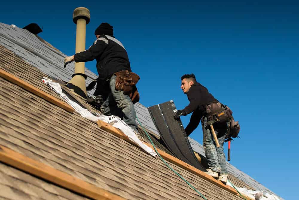 Roof Coating image