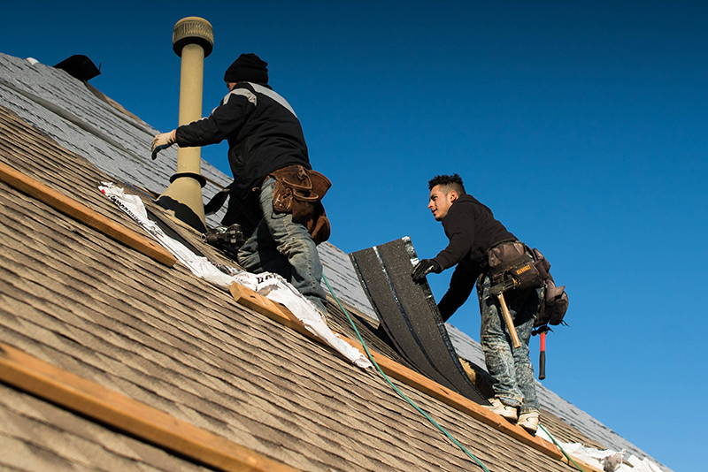 Why You Should Hire a Professional Roofer
